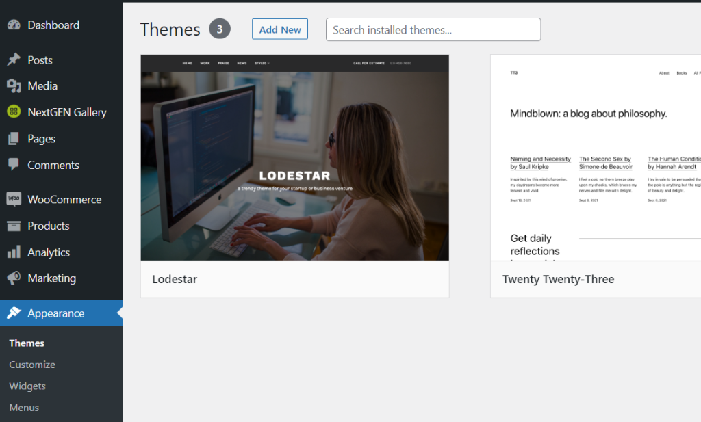 Select a WordPress theme